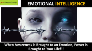 What is Emotional Intelligence?