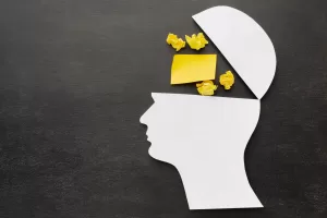 What is the difference between mental health and mental wellness?